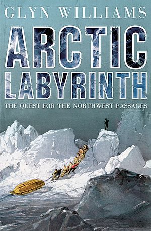 Téléchargez le livre :  Arctic Labyrinth