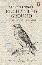 Download this eBook Enchanted Ground