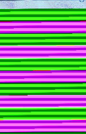 Download the eBook: Birdsville