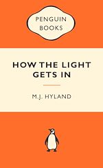 Download this eBook How The Light Gets In