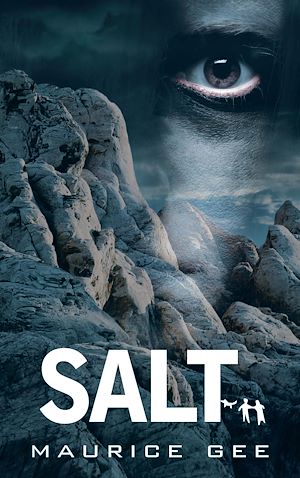 Téléchargez le livre :  Salt