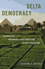 Télécharger le livre :  Delta Democracy