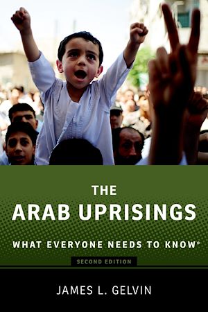 Téléchargez le livre :  The Arab Uprisings