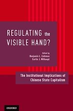 Télécharger le livre :  Regulating the Visible Hand?