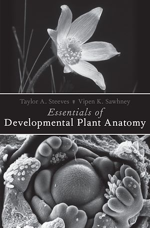 Download the eBook: Essentials of Developmental Plant Anatomy