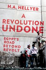 Télécharger le livre :  A Revolution Undone