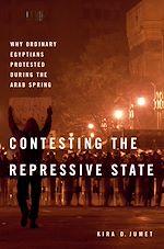 Télécharger le livre :  Contesting the Repressive State