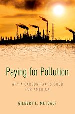 Télécharger le livre :  Paying for Pollution