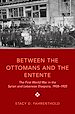Télécharger le livre :  Between the Ottomans and the Entente