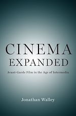 Télécharger le livre :  Cinema Expanded
