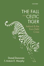 Télécharger le livre :  The Fall of the Celtic Tiger