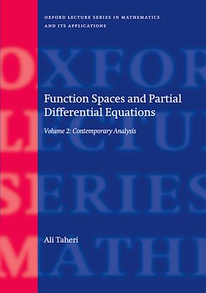 Téléchargez le livre :  Function Spaces and Partial Differential Equations