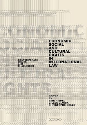 Téléchargez le livre :  Economic, Social, and Cultural Rights in International Law