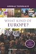 Télécharger le livre :  What Kind of Europe?