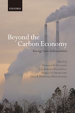 Télécharger le livre :  Beyond the Carbon Economy