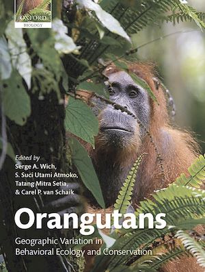 Téléchargez le livre :  Orangutans