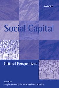 Téléchargez le livre :  Social Capital