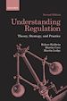 Télécharger le livre :  Understanding Regulation