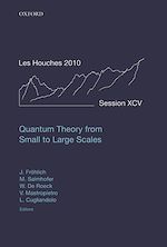 Télécharger le livre :  Quantum Theory from Small to Large Scales