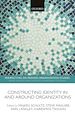 Télécharger le livre :  Constructing Identity in and around Organizations