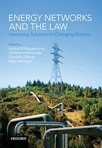 Télécharger le livre :  Energy Networks and the Law
