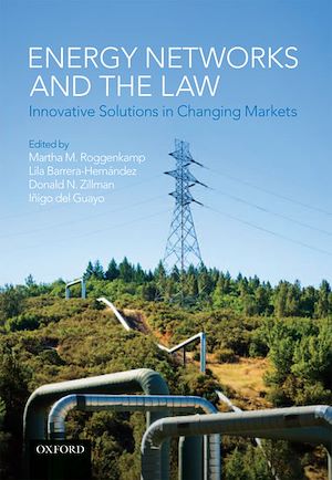 Téléchargez le livre :  Energy Networks and the Law