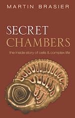 Télécharger le livre :  Secret Chambers