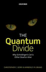 Télécharger le livre :  The Quantum Divide