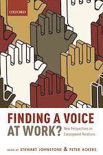Télécharger le livre :  Finding a Voice at Work?