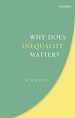 Télécharger le livre :  Why Does Inequality Matter?