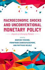 Télécharger le livre :  Macroeconomic Shocks and Unconventional Monetary Policy
