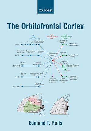 Téléchargez le livre :  The Orbitofrontal Cortex