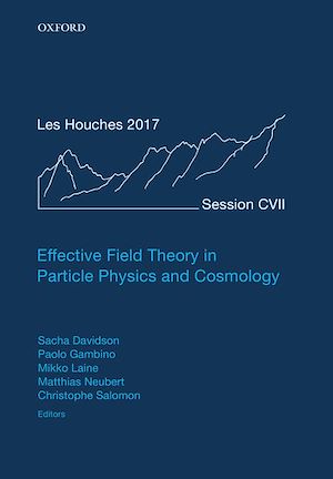 Téléchargez le livre :  Effective Field Theory in Particle Physics and Cosmology
