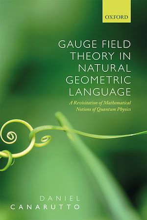 Téléchargez le livre :  Gauge Field Theory in Natural Geometric Language