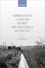 Télécharger le livre :  Human Rights Litigation against Multinationals in Practice