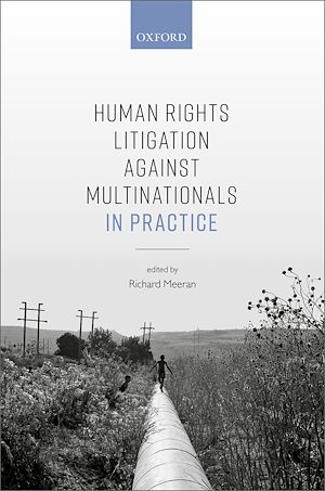 Téléchargez le livre :  Human Rights Litigation against Multinationals in Practice