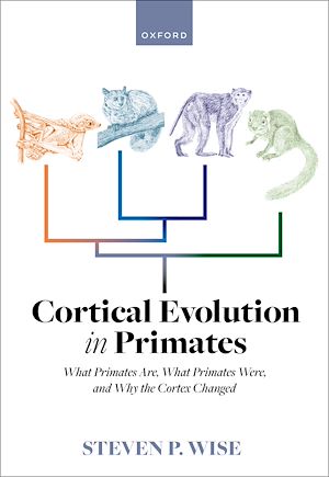 Téléchargez le livre :  Cortical Evolution in Primates