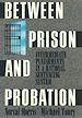 Télécharger le livre :  Between Prison and Probation