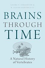 Download this eBook Brains Through Time