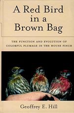 Télécharger le livre :  A Red Bird in a Brown Bag