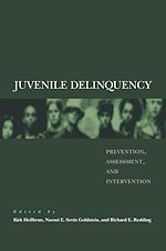 Télécharger le livre :  Juvenile Delinquency