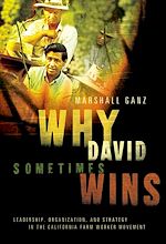 Télécharger le livre :  Why David Sometimes Wins