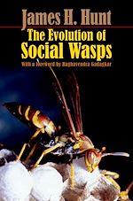 Télécharger le livre :  The Evolution of Social Wasps