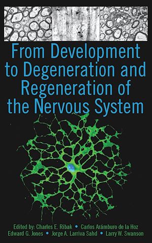 Téléchargez le livre :  From Development to Degeneration and Regeneration of the Nervous System