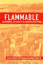Télécharger le livre :  Flammable