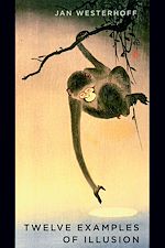 Télécharger le livre :  Twelve Examples of Illusion