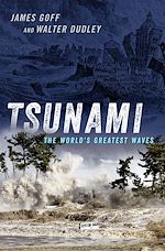 Download this eBook Tsunami