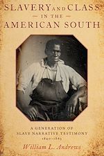 Télécharger le livre :  Slavery and Class in the American South