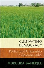 Télécharger le livre :  Cultivating Democracy
