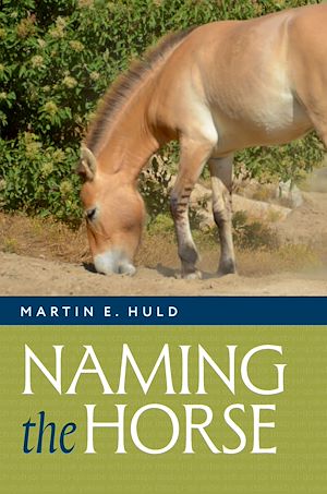 Download the eBook: Naming the Horse